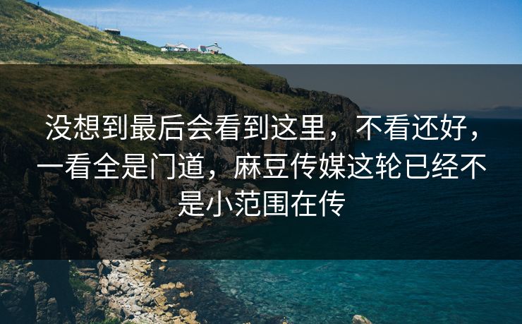 没想到最后会看到这里，不看还好，一看全是门道，麻豆传媒这轮已经不是小范围在传