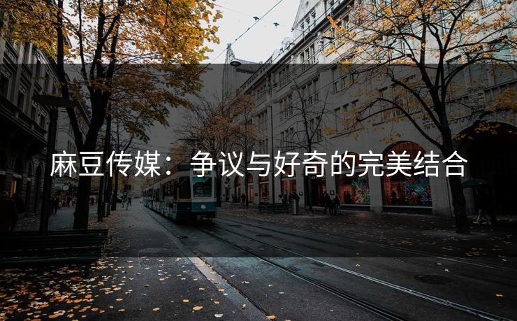麻豆传媒：争议与好奇的完美结合