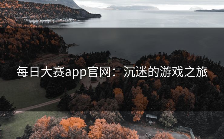 每日大赛app官网：沉迷的游戏之旅
